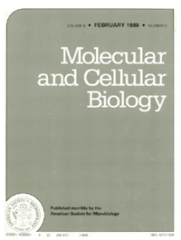 Publication Cover