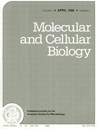 Publication Cover