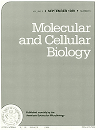 Publication Cover