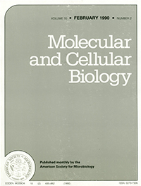 Publication Cover