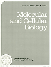 Publication Cover