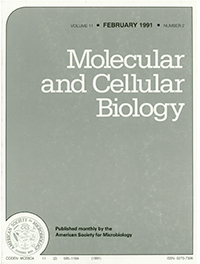 Publication Cover