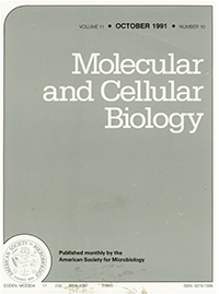 Publication Cover