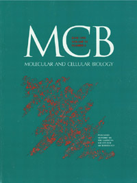 Publication Cover