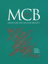 Publication Cover