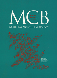 Publication Cover