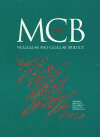 Publication Cover