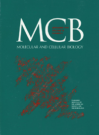 Publication Cover