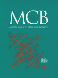 Publication Cover