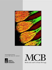 Publication Cover