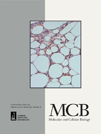 Publication Cover