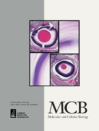 Publication Cover