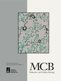 Publication Cover