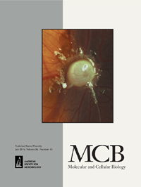 Publication Cover