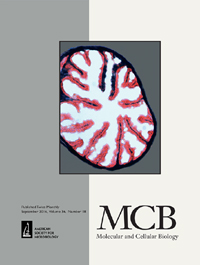 Publication Cover