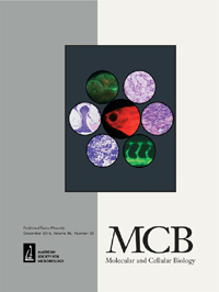 Publication Cover