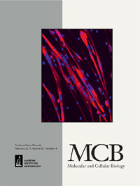 Publication Cover