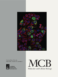 Publication Cover