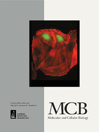 Publication Cover