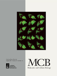 Publication Cover