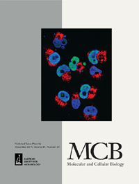 Publication Cover