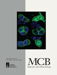 Publication Cover