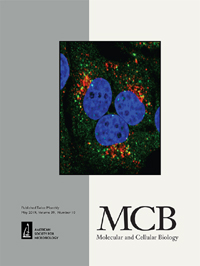 Publication Cover