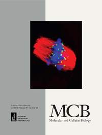 Publication Cover