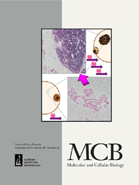 Publication Cover