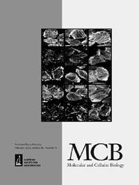 Publication Cover