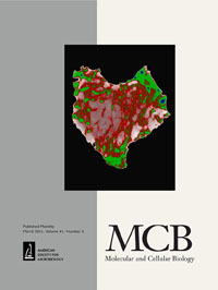 Publication Cover