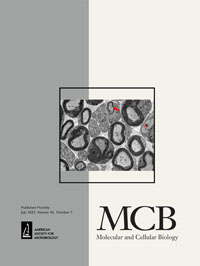 Publication Cover