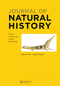 Publication Cover