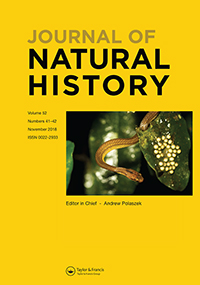 Publication Cover