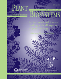 Publication Cover