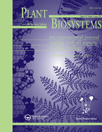 Publication Cover