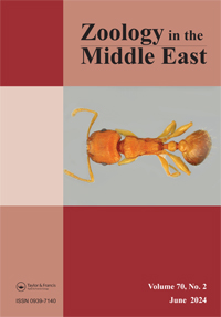 Publication Cover