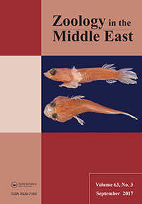 Publication Cover