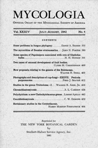 Publication Cover