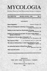 Publication Cover