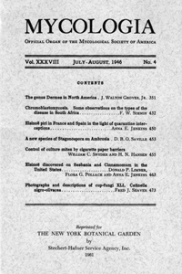 Publication Cover