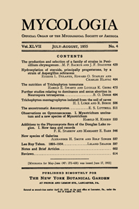 Publication Cover