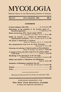 Publication Cover