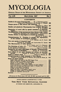 Publication Cover