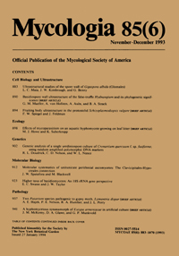 Publication Cover