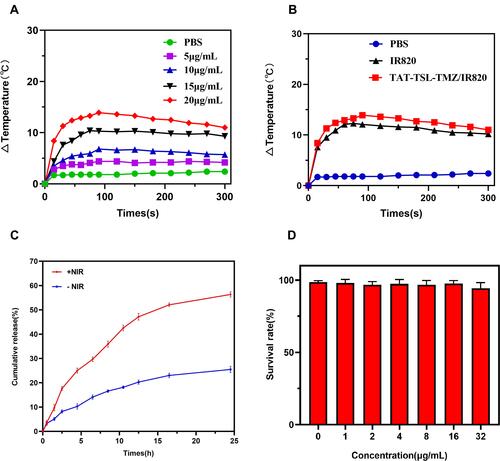 Figure 5 Temperature increase curve measurement. (A) Temperature increase curves of different concentrations of TAT-TSL-TMZ/IR820 liposomes (0, 5, 10, 15, and 20 µg/mL) under NIR laser irradiation. (B) Temperature increase curves of PBS, IR820 (20 µg/mL), and TAT-TSL-TMZ/IR820 liposomes (20 µg/mL IR820) under NIR laser irradiation. (C) In vitro drug release profile of TAT-TSL-TMZ/IR820 liposomes under NIR irradiation. (D) The survival rate of MV3 cells after treatment with 0–32 µg/mL TAT-TSL-TMZ/IR820 liposomes for 24 h.