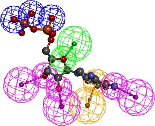 Figure 3 A generated pharmacophore showing the most important features ATP can perform; this figure shows only three pharmacophores of the ten generated.