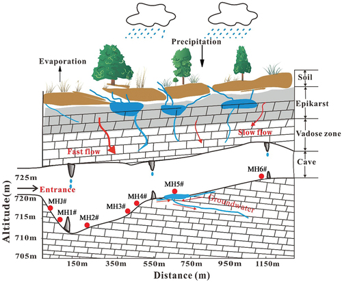 Figure 2. Flow paths for cave water recharge.