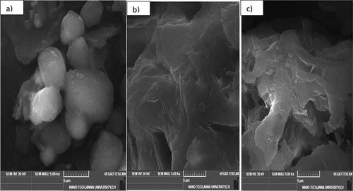 Figure 5. Scanning electron micrographs of a) untreated seeds (Co-0), b) as-obtained cellulose (Co-Cel), and c) microcrystalline cellulose (Co-MCC).