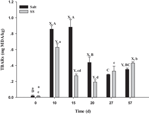 Figure 2. Changes in TBARS values in dry-cured beef during processing. Salt = dry-cured beef treated with salt; SS = dry-cured beef treated with salt substitute (39.7% of NaCl, 51.3% of KCl and a mixture of 7% L-lysine and 2% L-histidine). Different capital letters (A–D) indicate significant differences among the different times of salt (P < .05), and different lowercase letters (a–e) indicate significant differences among the different times of SS (P <.05). Different capital letters (X, Y) on the same day indicate significant differences among the different treatments (P < .05). Error bars represent the standard deviation of means (n = 3)